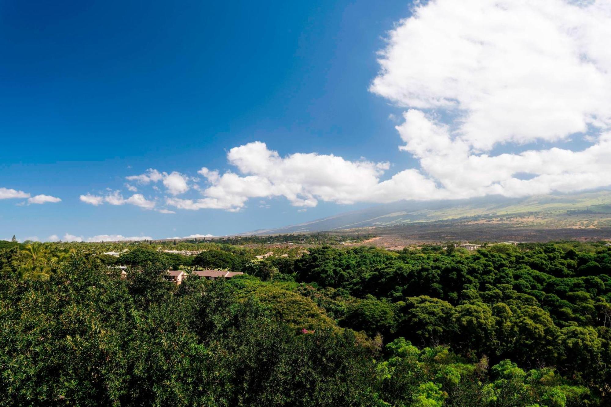 Wailea Beach Resort - Marriott, Maui Kültér fotó